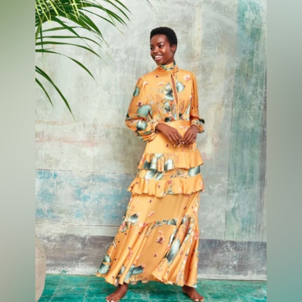 Johanna Ortiz x H&M maxi dress